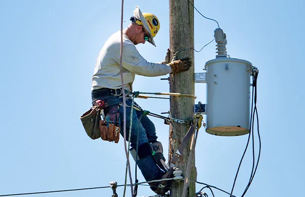 Hardening the Electric Grid