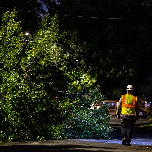 An OUC worker surveys a tree that fell during a storm and impacted a power line.