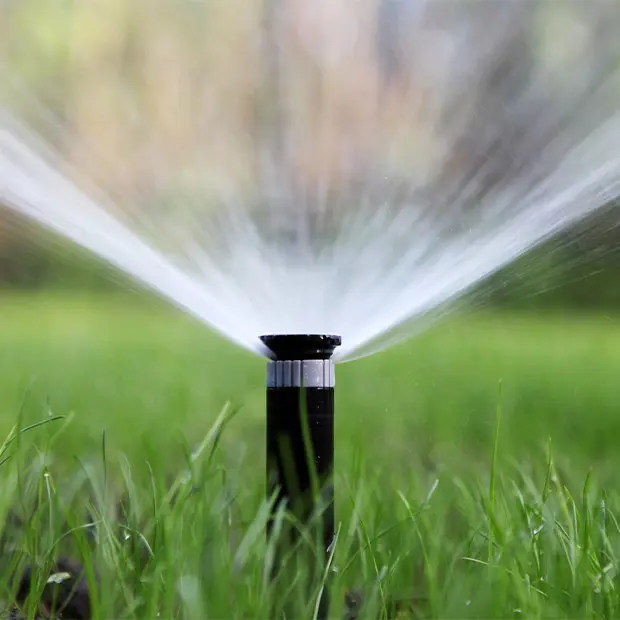 Sprinkler irrigating a lawn