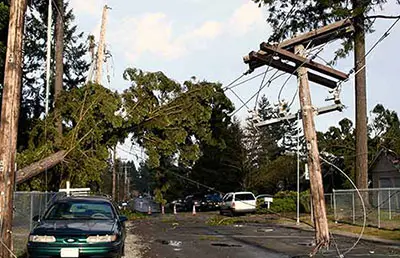 An Orlando neighborhood where a tree fell over powerlines and impacted electric service.