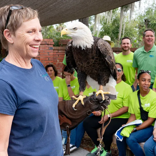 Employee at the Audubon Center for Birds of Prey & Exhibit holds a bald eagle