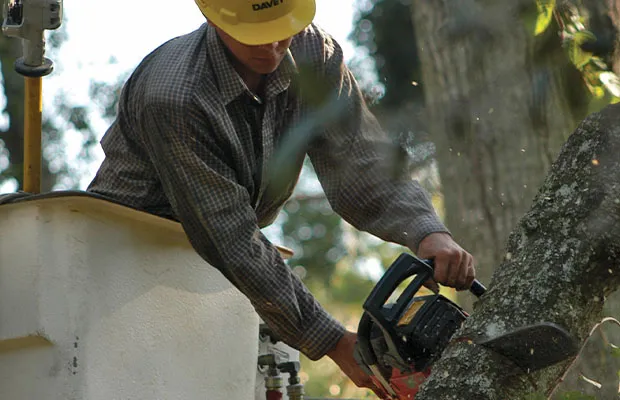 An OUC contractor using a chainsaw to trim tree limbs impacting power lines.