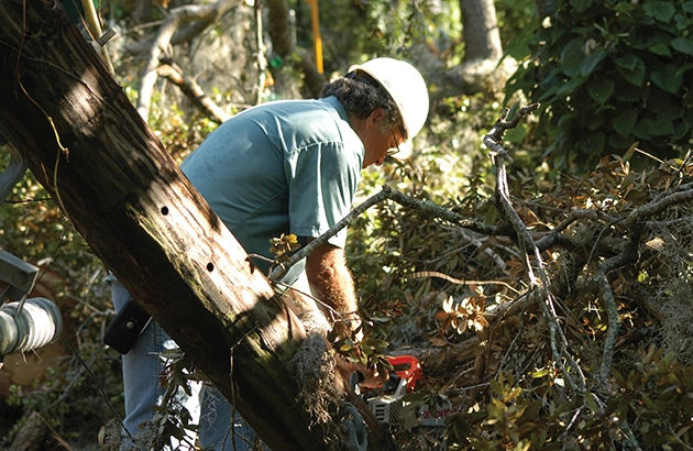 An OUC contractor using a chainsaw to trim tree limbs impacting power lines.